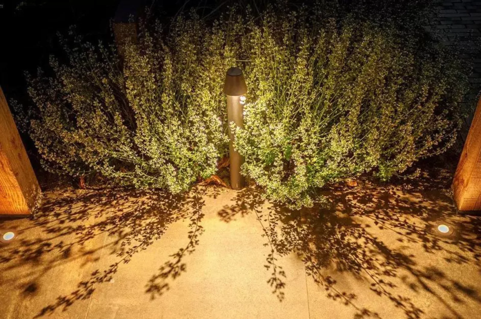 Spots orientables éclairant des arbres dans un jardin Luminaires solaires alignés le long d'une allée éclairant le chemin vers la maison